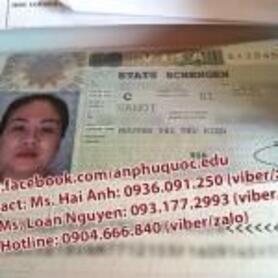 SUCCESS IN APPLYING UNITED KINGDOM, SCHENGEN VISIT VISA TOGETHER - ENJOY SUMMER HOLIDAY IN THE NEW LAND