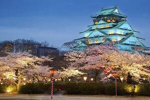 NHẬT BẢN - ĐIỂM ĐẾN DU HỌC NHIỀU THẾ MẠNH