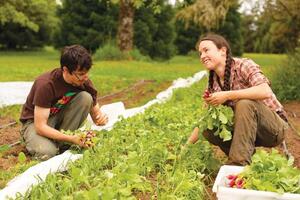 Du học sinh làm nông ở Australia