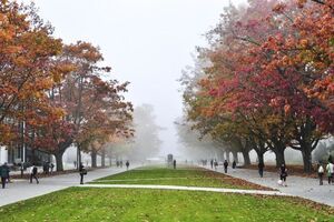 Làm thế nào để nhập học một trường Đại học ở Canada?