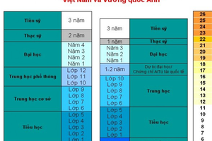 Chương trình dự bị đại học – University Foundation Programme