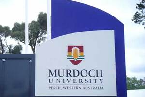 Du học Úc: Trường Murdoch University