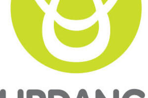 Chương trình cao đẳng cộng đồng Trường The Urdang Academy